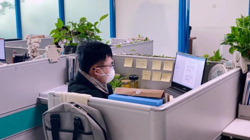 疫情期间，Z6官网软件成功研发7套防疫助力软件